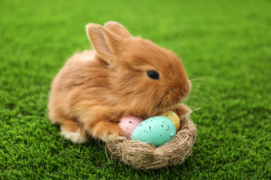Photo of Adorable fluffy bunny and decorative nest with Easter eggs on green grass