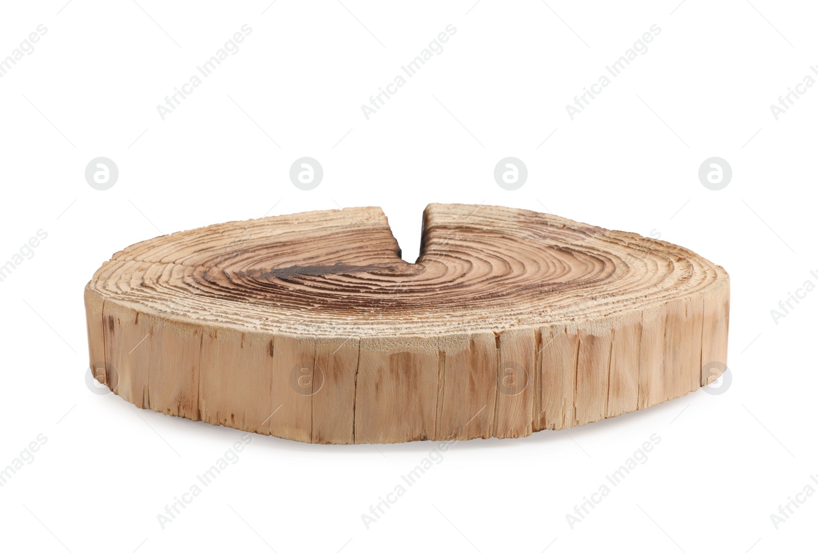 Photo of Cracked tree stump as decorative stand isolated on white