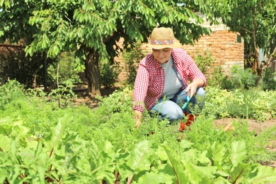 Woman working in garden on sunny day