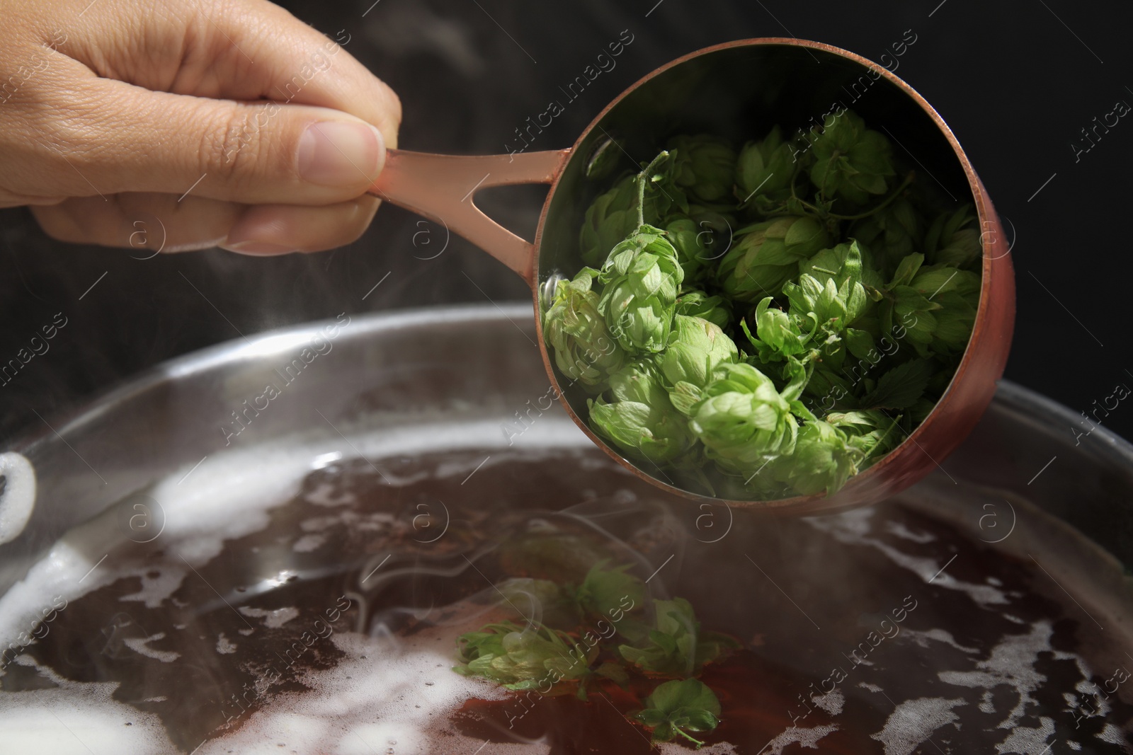 Photo of Woman adding fresh green hops to beer wort in pot, closeup