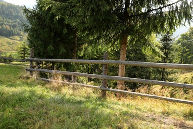 Photo of Beautiful view with wooden fence and conifer mountain forest on sunny day