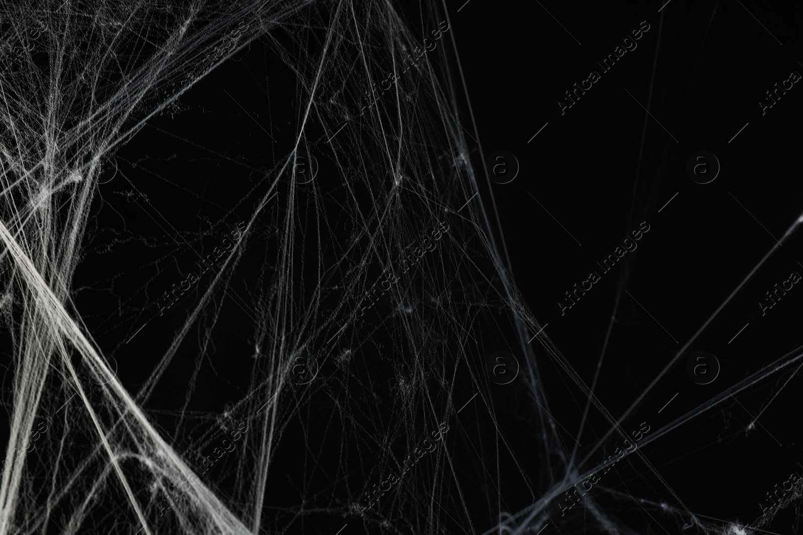 Photo of Creepy white spider web on black background