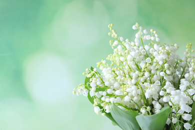 Photo of Beautiful lily of the valley flowers on green background. Space for text