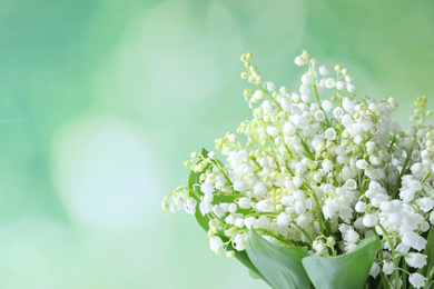 Beautiful lily of the valley flowers on green background. Space for text