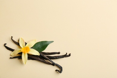 Photo of Flat lay composition with vanilla sticks and flower on color background. Space for text