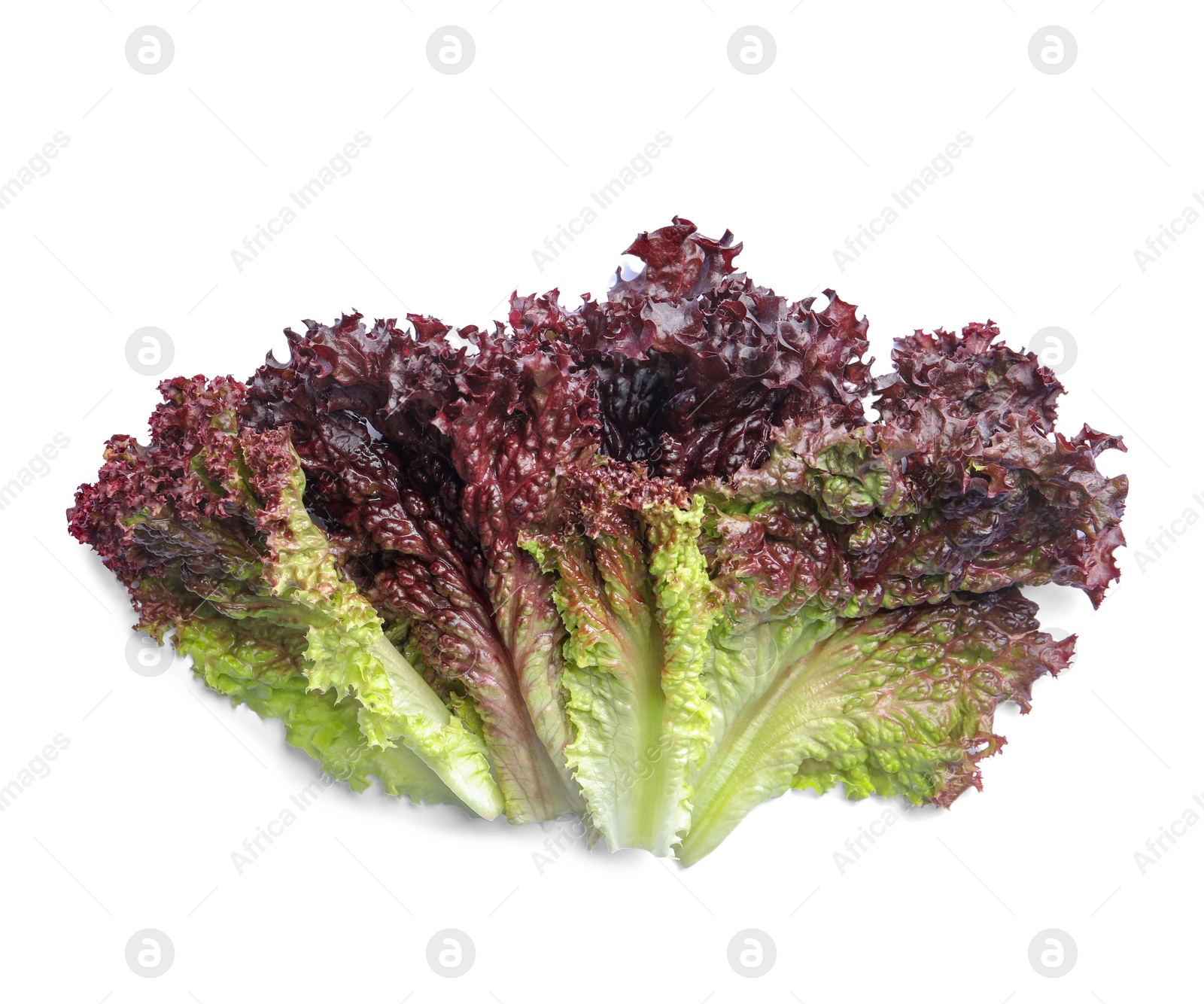 Photo of Leaves of fresh red coral lettuce isolated on white, top view