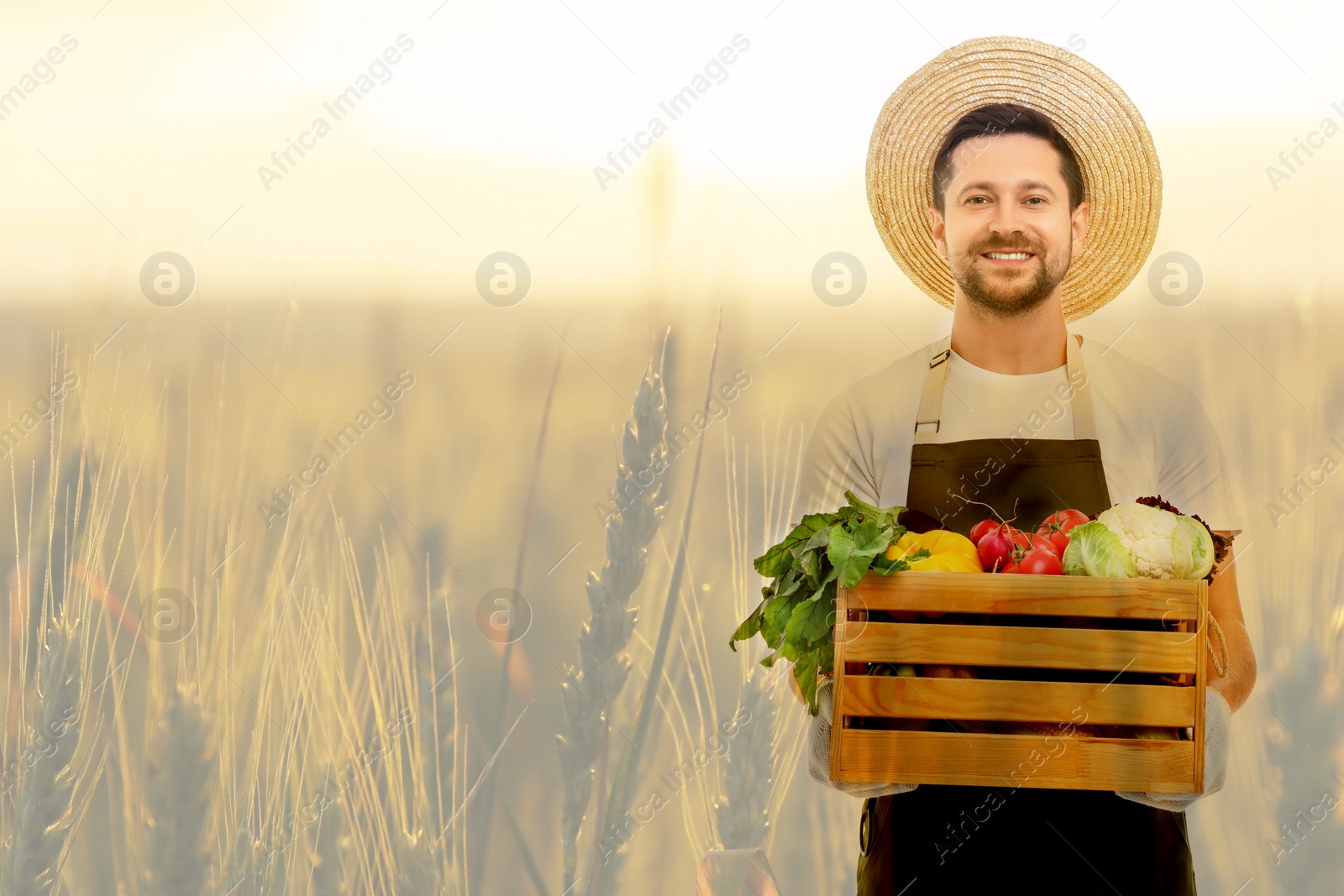 Image of Double exposure of happy farmer and wheat field. Space for text