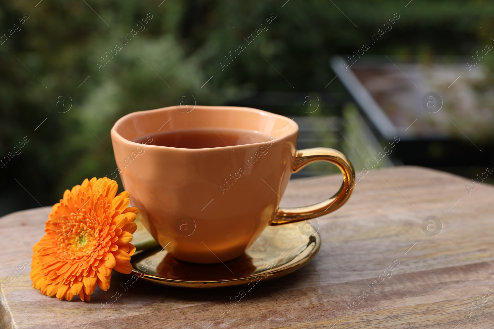 Photo of Cup of delicious chamomile tea and fresh calendula flower outdoors, space for text