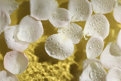 Beautiful rose petals in water on pale yellow background, top view