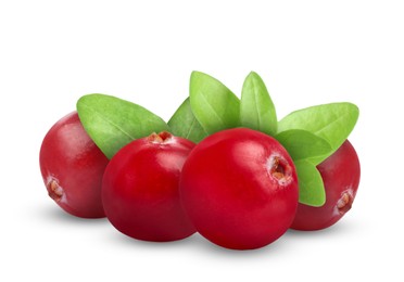 Image of Fresh ripe cranberries with leaves isolated on white