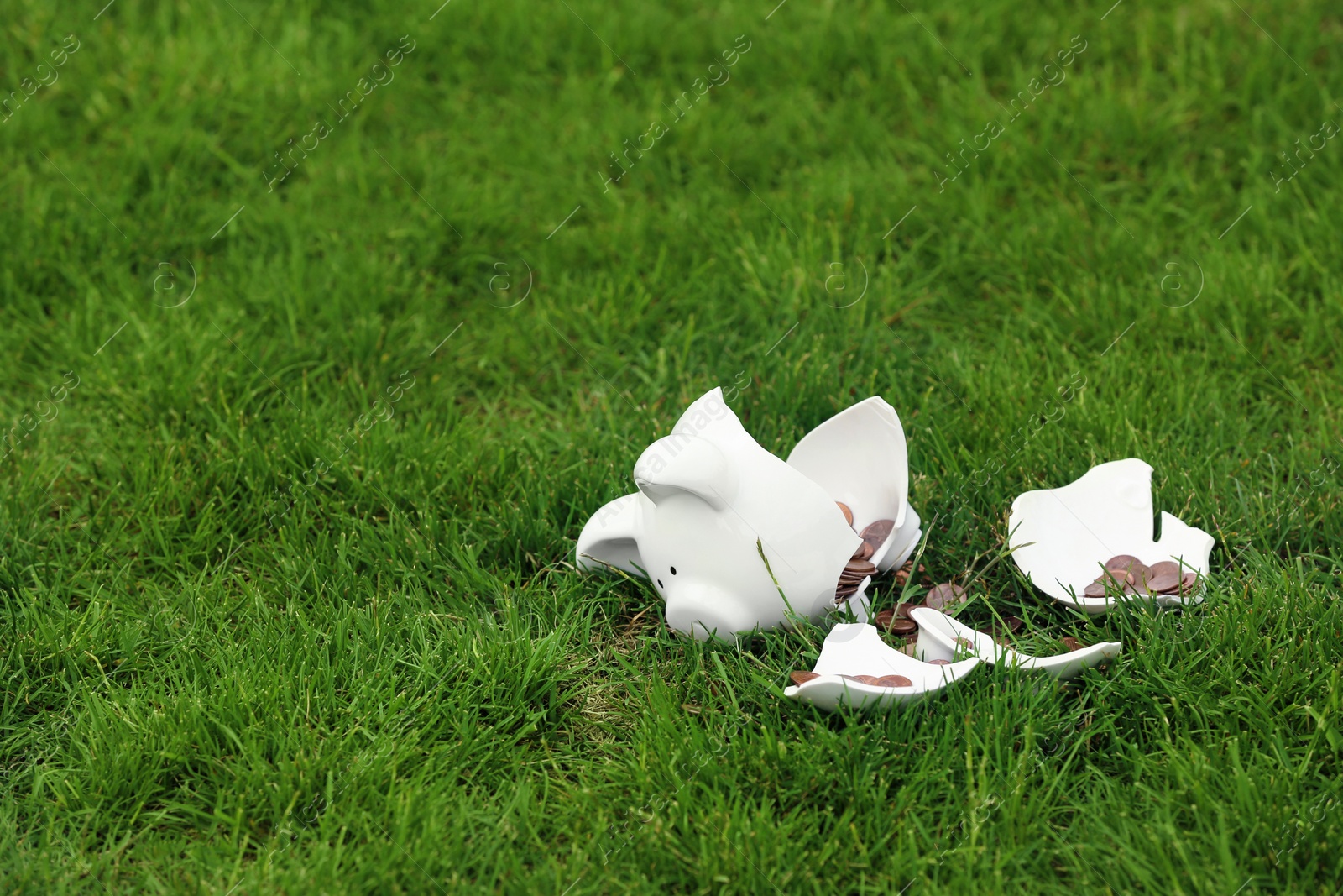 Photo of Broken piggy bank and coins on green grass outdoors. Space for text