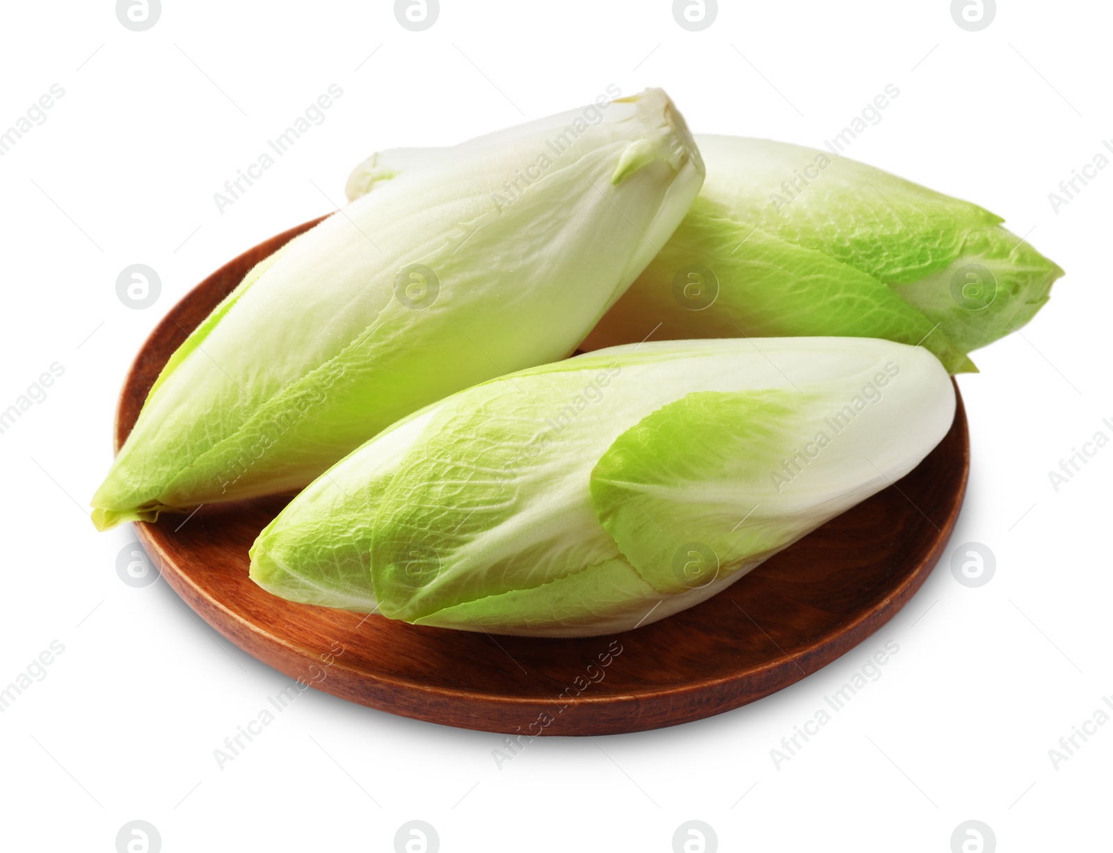 Photo of Raw ripe chicories on white background. Belgian endive