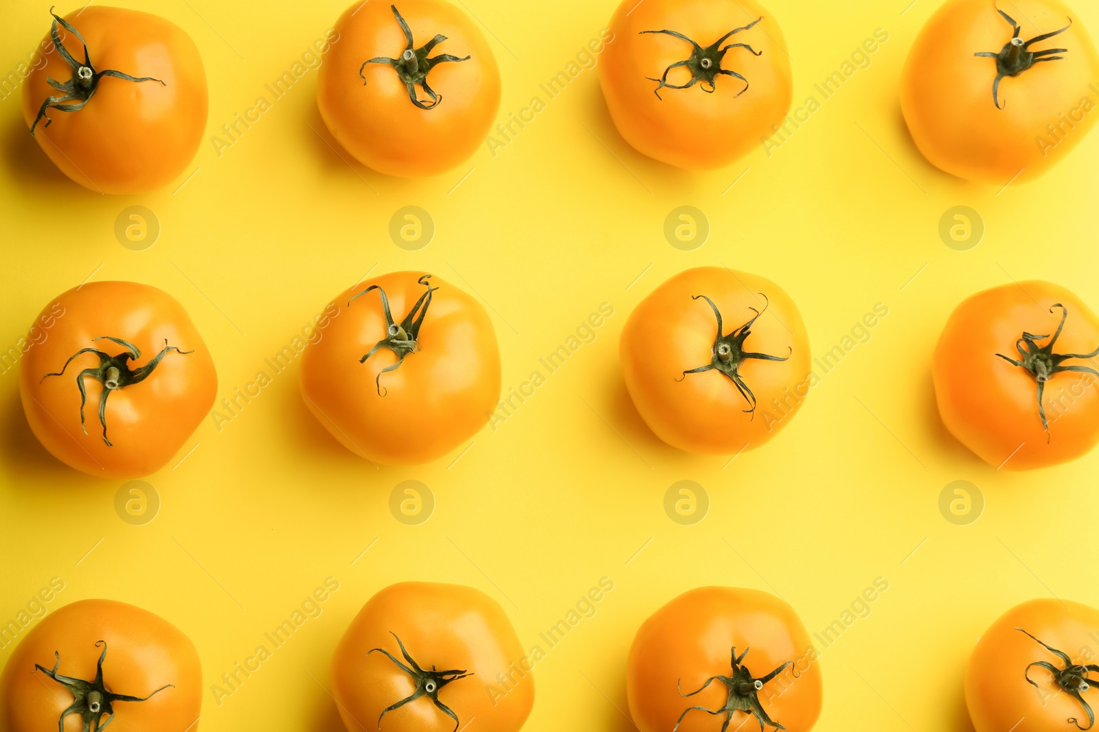 Photo of Yellow tomatoes on color background, flat lay