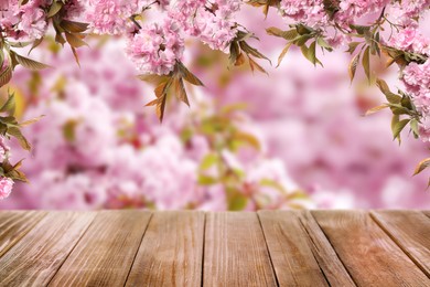 Empty wooden surface and beautiful blossoming sakura tree on background