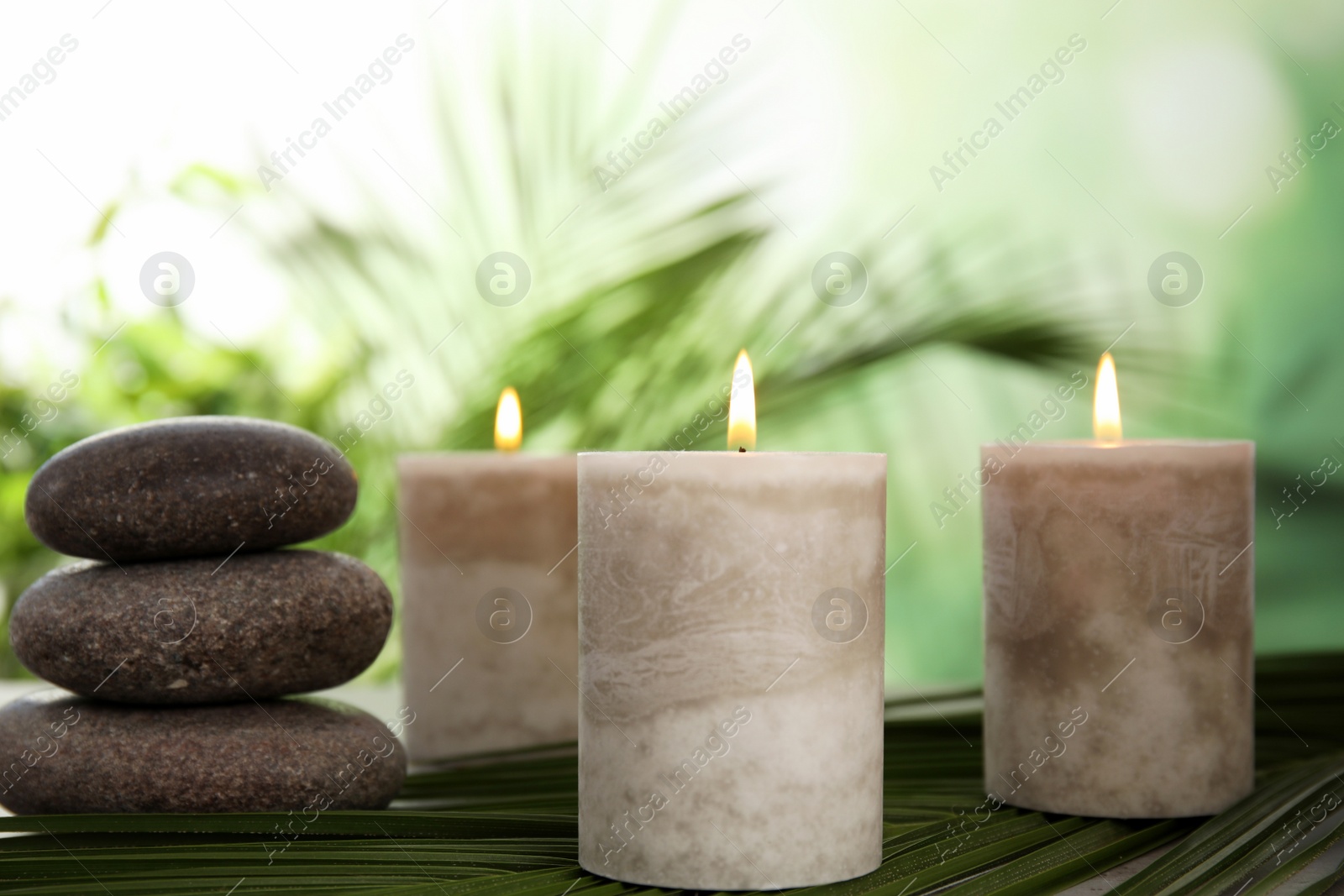 Photo of Burning candles and spa stones with palm leaf on table against blurred green background