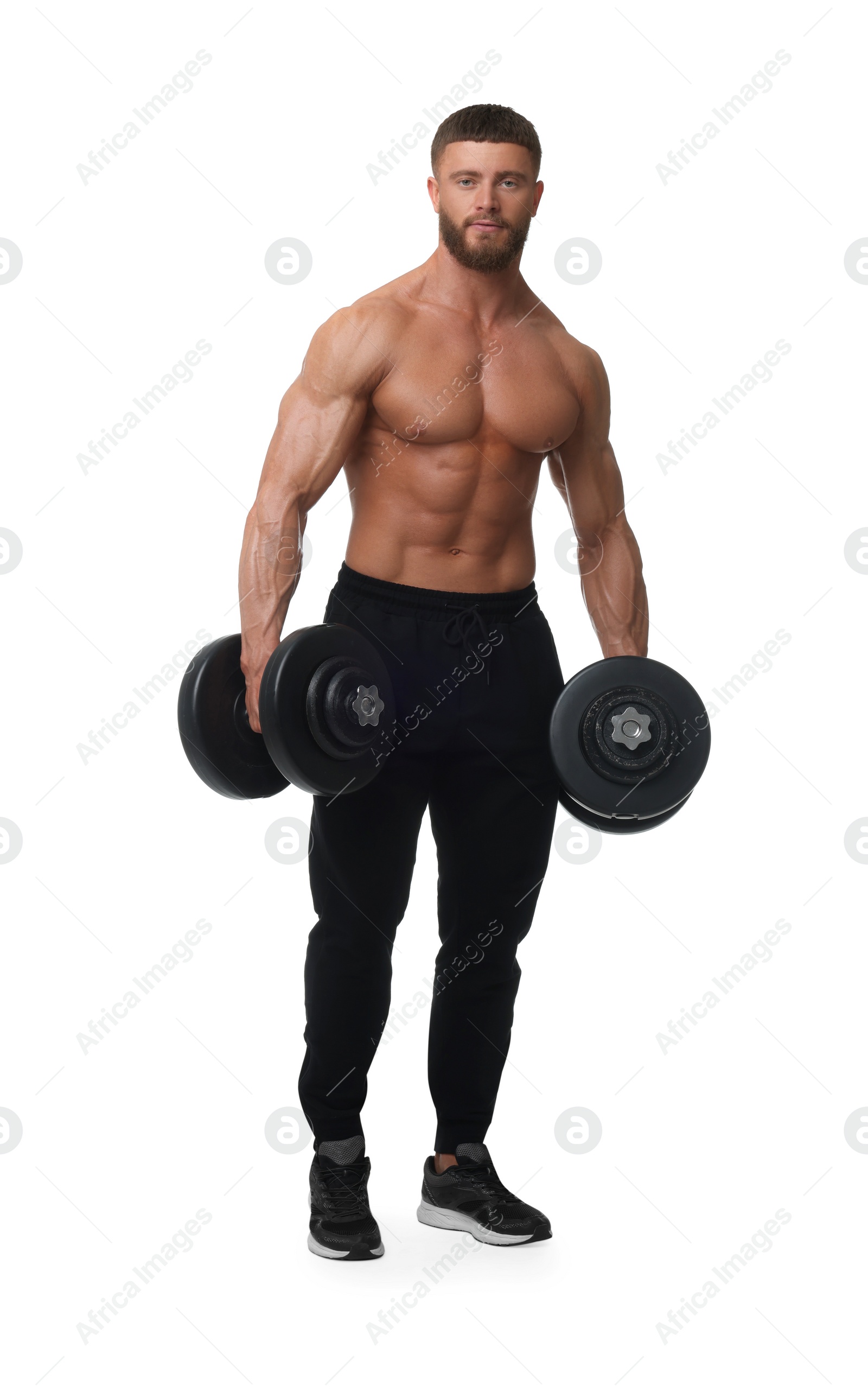 Photo of Young bodybuilder exercising with dumbbells on white background