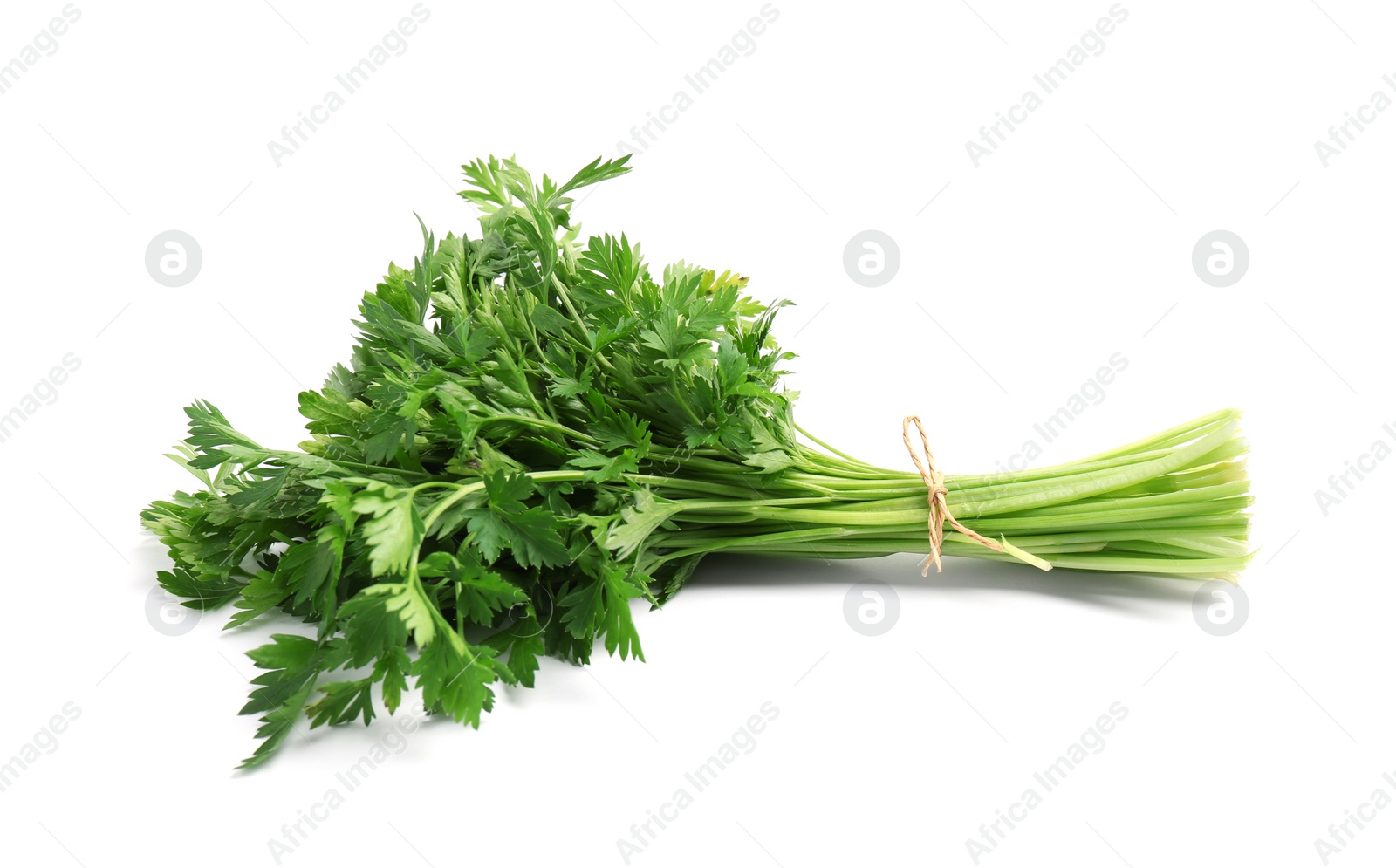 Photo of Bunch of fresh parsley isolated on white