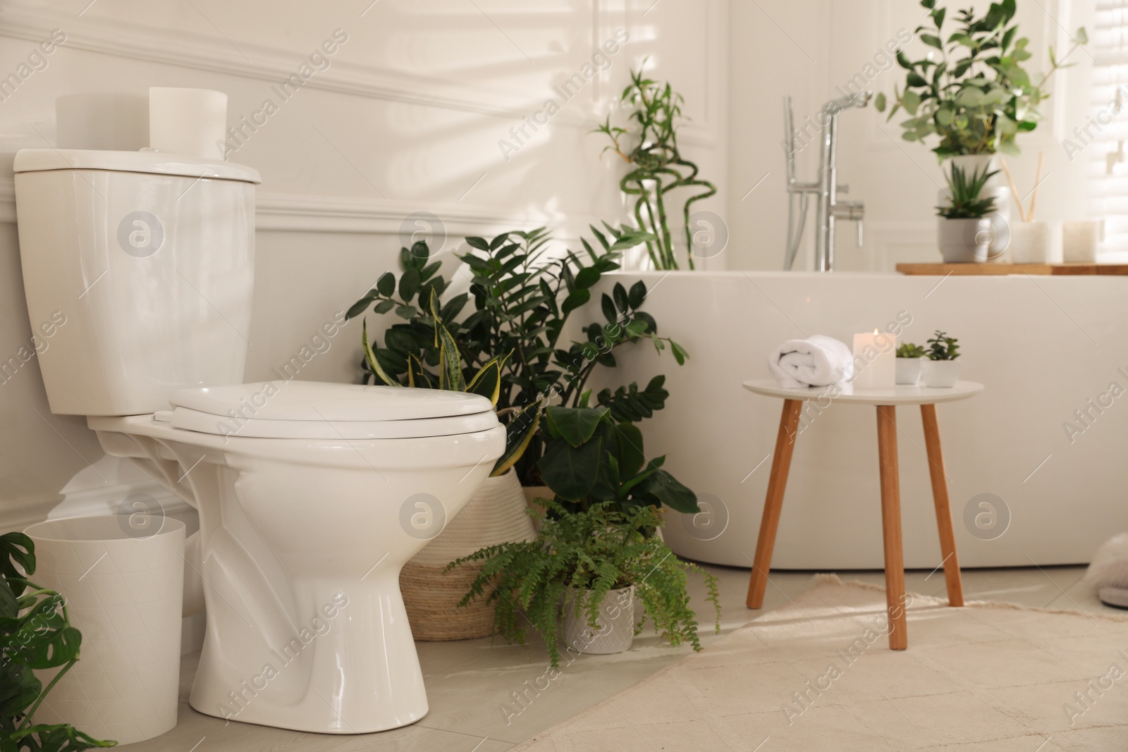 Photo of Stylish white bathroom interior with toilet bowl and green houseplants