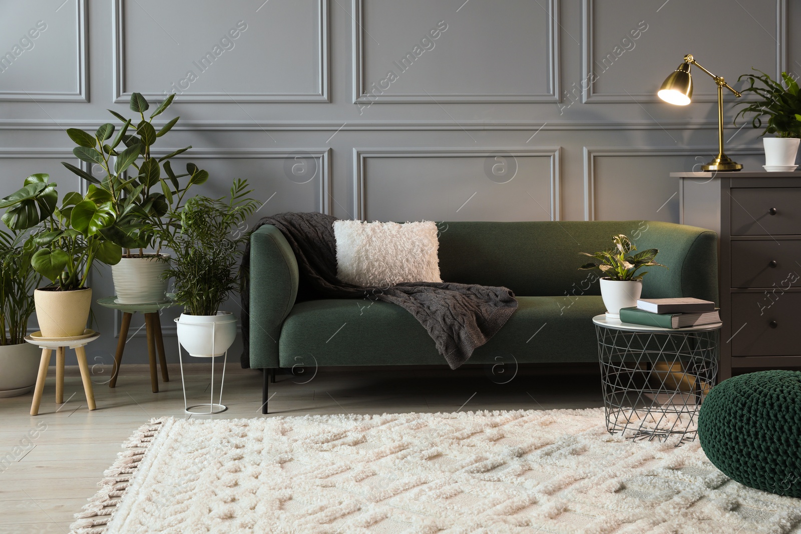 Photo of Many potted houseplants and stylish furniture near light blue wall in beautiful room