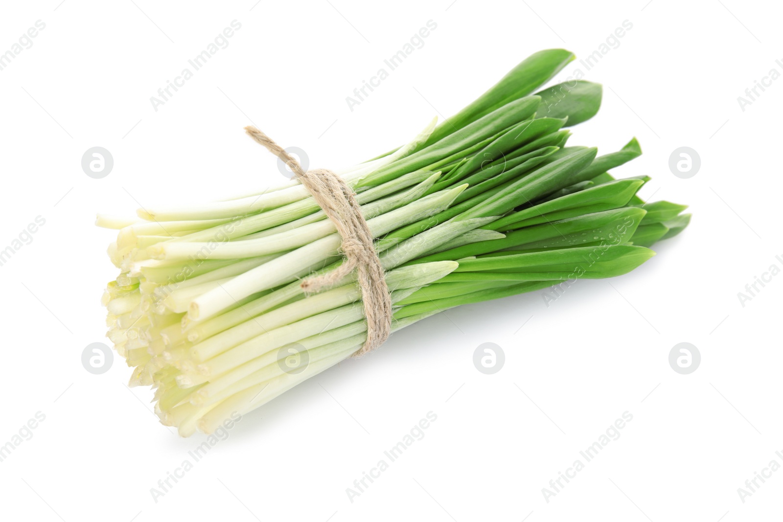 Photo of Bunch of wild garlic or ramson isolated on white