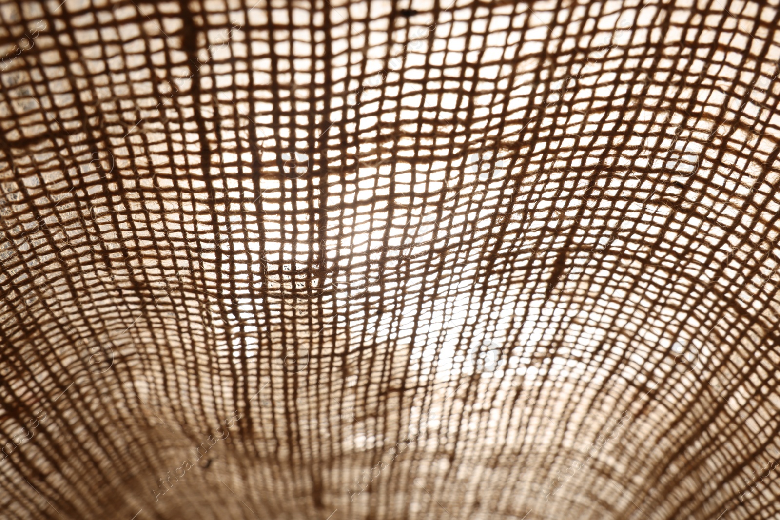 Photo of Texture of natural burlap fabric as background, closeup