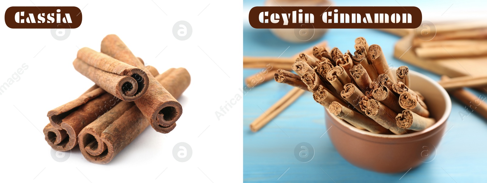 Image of Collage with photos of cassia and ceylon cinnamon sticks. Banner design