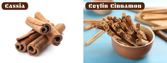 Image of Collage with photos of cassia and ceylon cinnamon sticks. Banner design