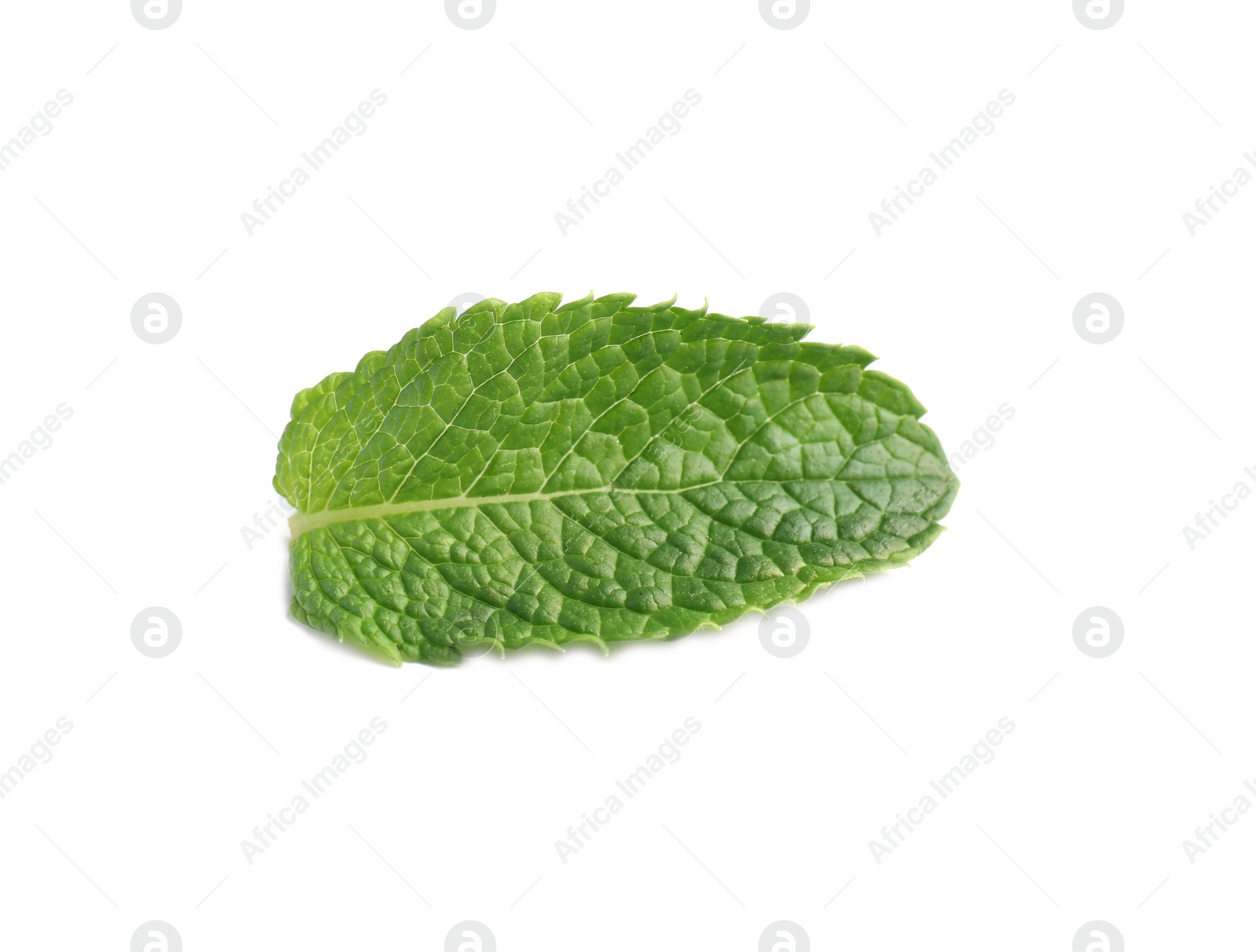 Photo of Fresh green mint leaf on white background