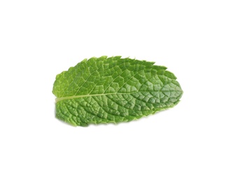 Photo of Fresh green mint leaf on white background