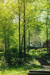 Photo of Picturesque view of beautiful park with fresh green grass and trees