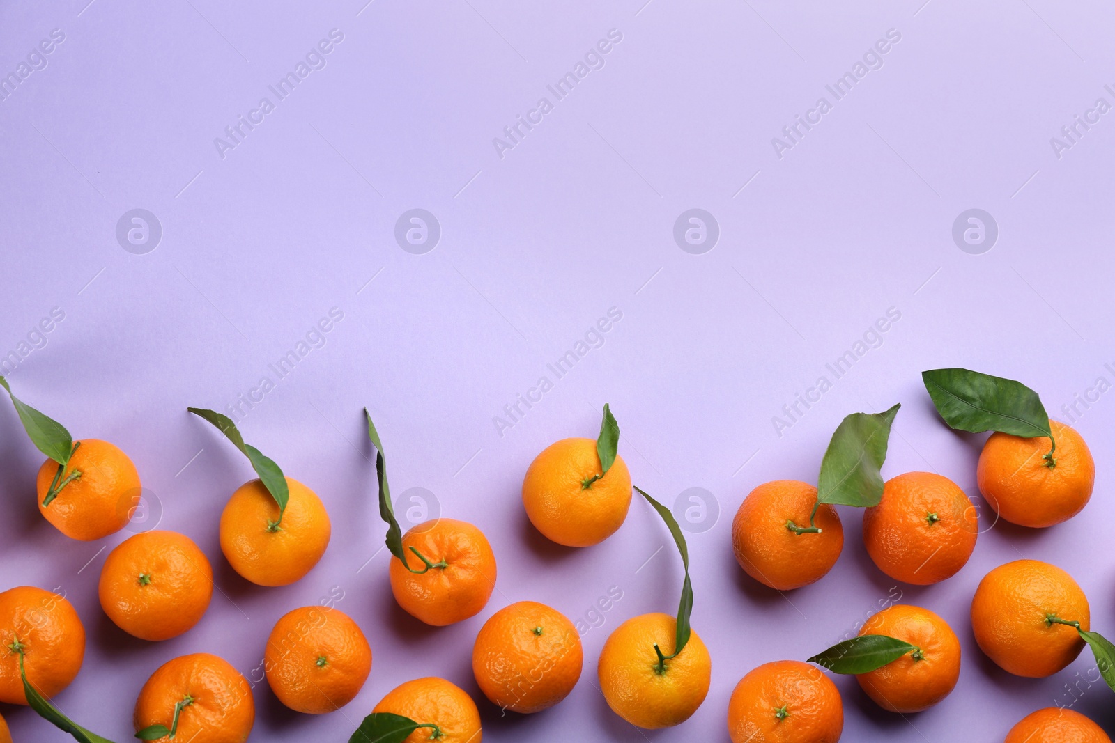 Photo of Fresh ripe tangerines with green leaves on lilac background, flat lay. Space for text
