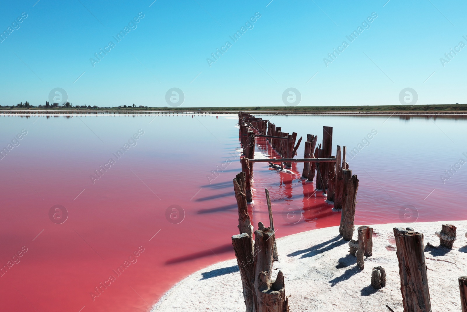 Photo of Beautiful view of pink lake on summer day