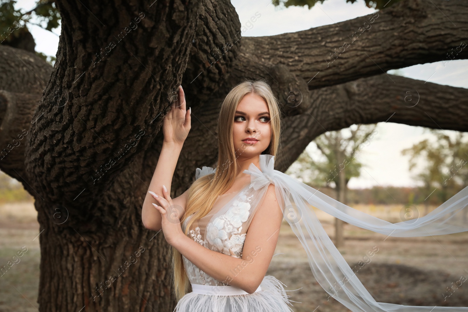 Photo of Beautiful girl wearing fairy dress near tall tree outdoors