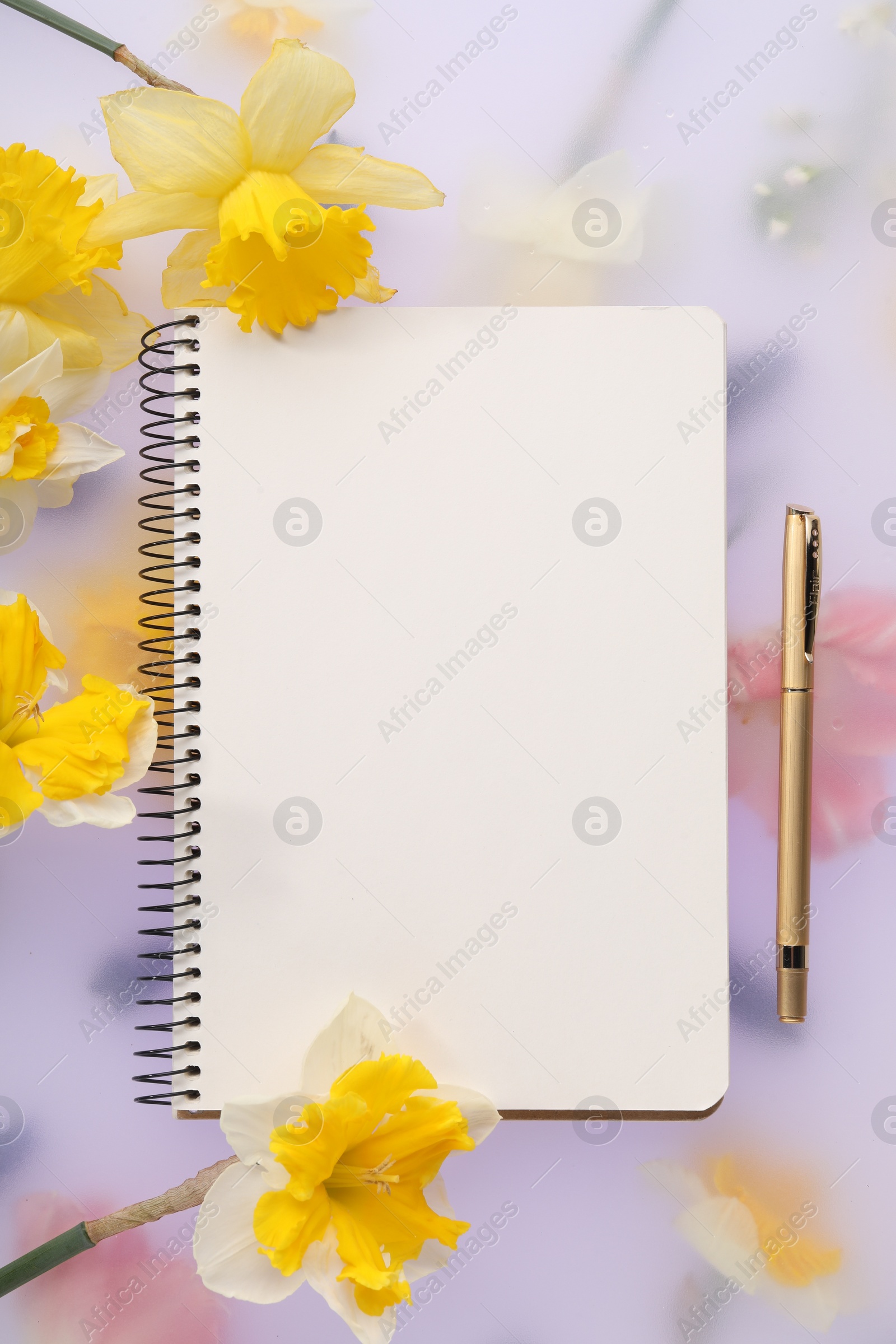 Photo of Guest list. Notebook, pen and daffodils on spring floral background, flat lay