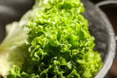 Photo of Fresh lettuce in colander, closeup. Salad greens