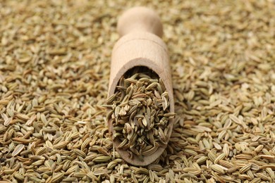 Photo of Heap of fennel seeds and wooden scoop as background, closeup