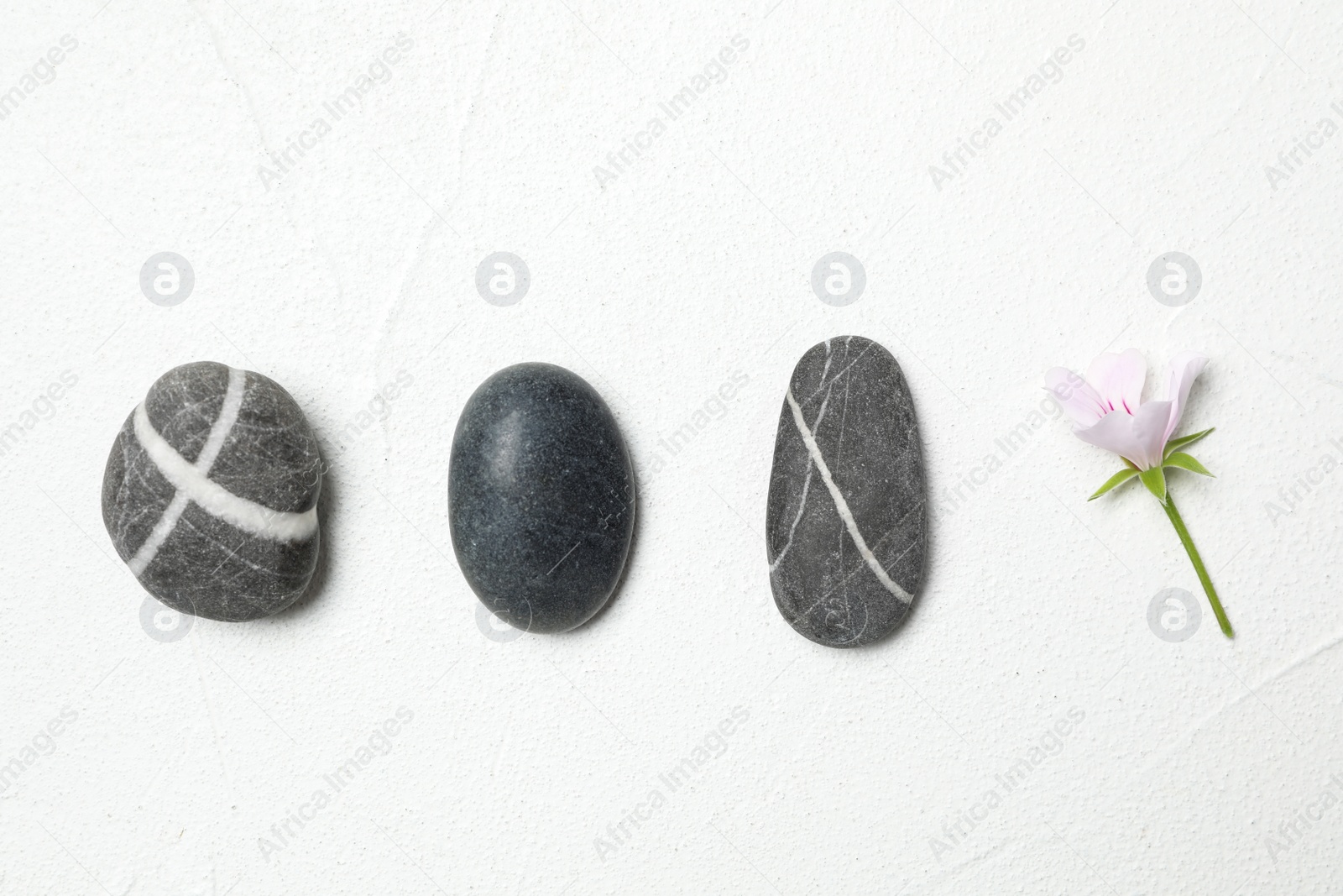 Photo of Spa stones and fresia flower on white table, flat lay