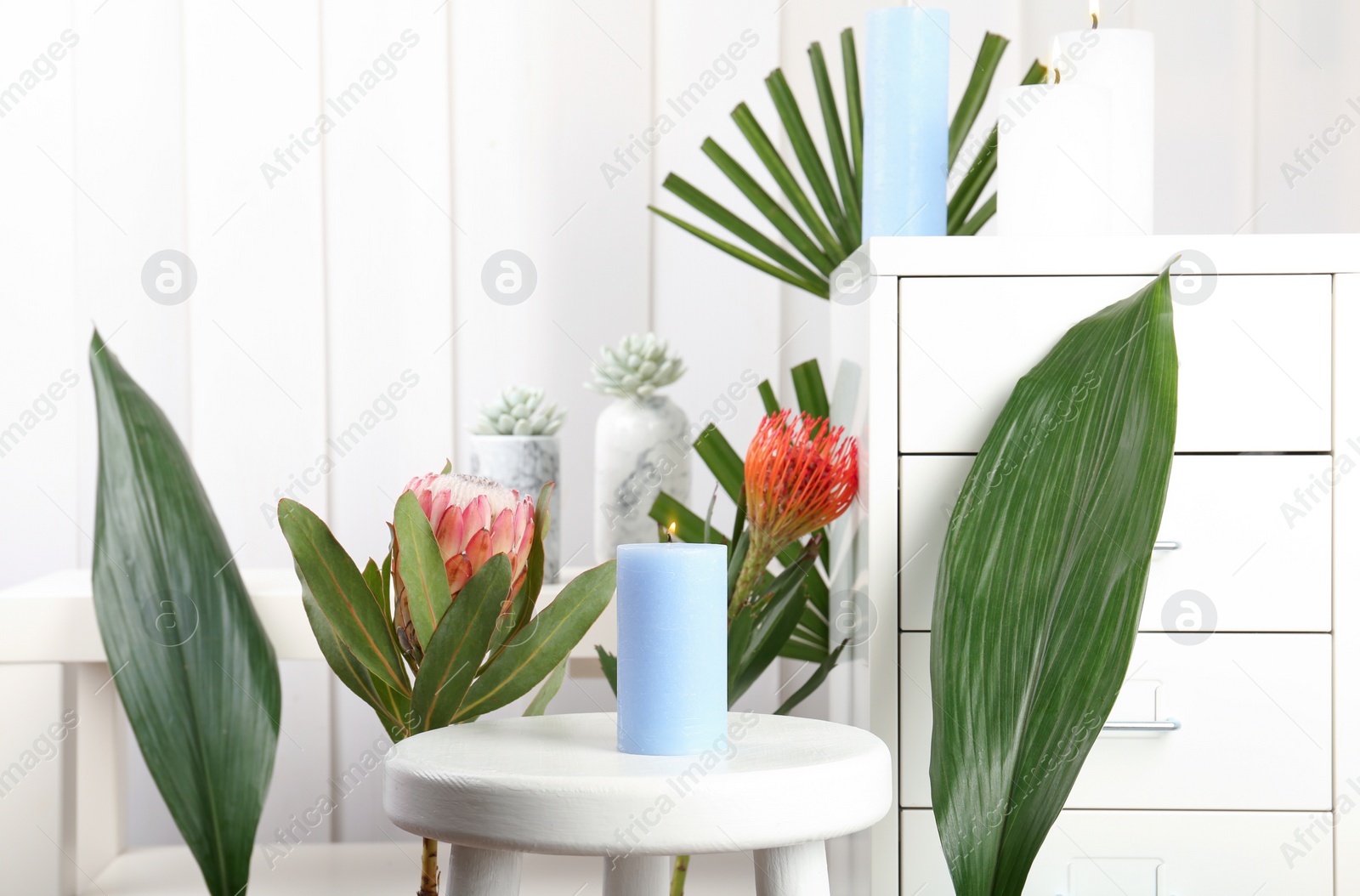 Photo of Creative composition with candle and tropical plants indoors