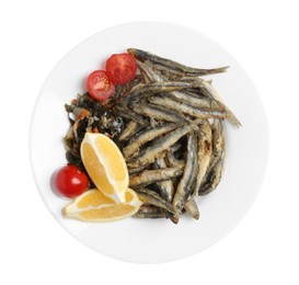 Plate with delicious fried anchovies, cherry tomatoes and slices of lemon isolated on white, top view