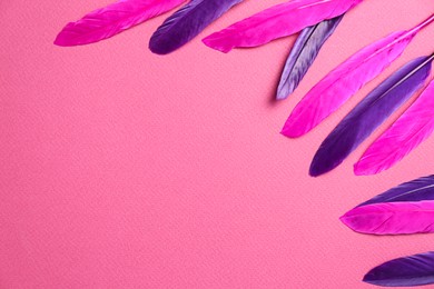 Photo of Bright beautiful feathers on pink background, flat lay. Space for text