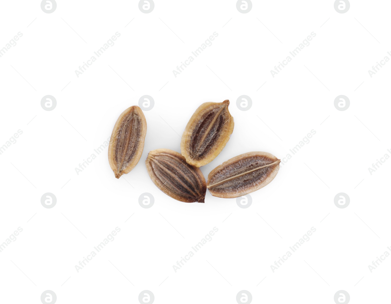 Photo of Dry dill seeds isolated on white, top view