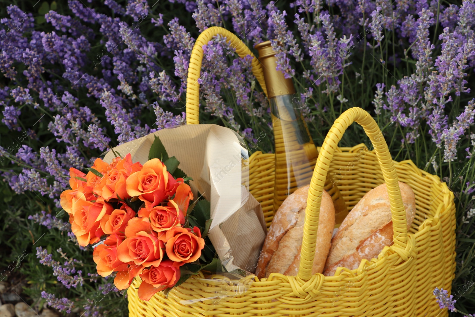 Photo of Yellow wicker bag with beautiful roses, bottle of wine and baguettes in lavender field