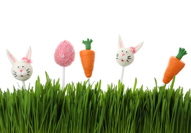 Different delicious cake pops for Easter celebration and grass on white background