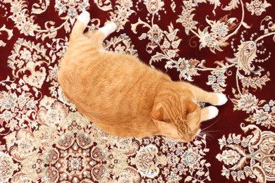 Photo of Cute ginger cat lying on carpet with pattern, top view