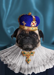 Image of Pug dog dressed like royal person against blue background