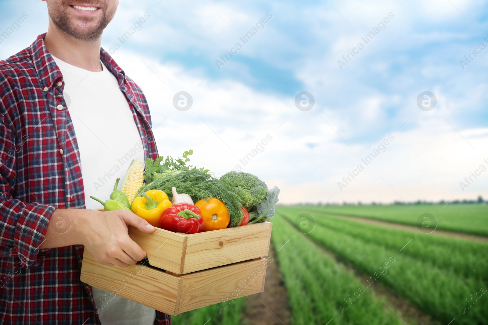 Image of Harvesting season. Farmer holding wooden crate with crop in field, closeup