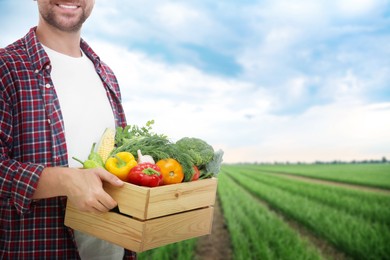 Harvesting season. Farmer holding wooden crate with crop in field, closeup