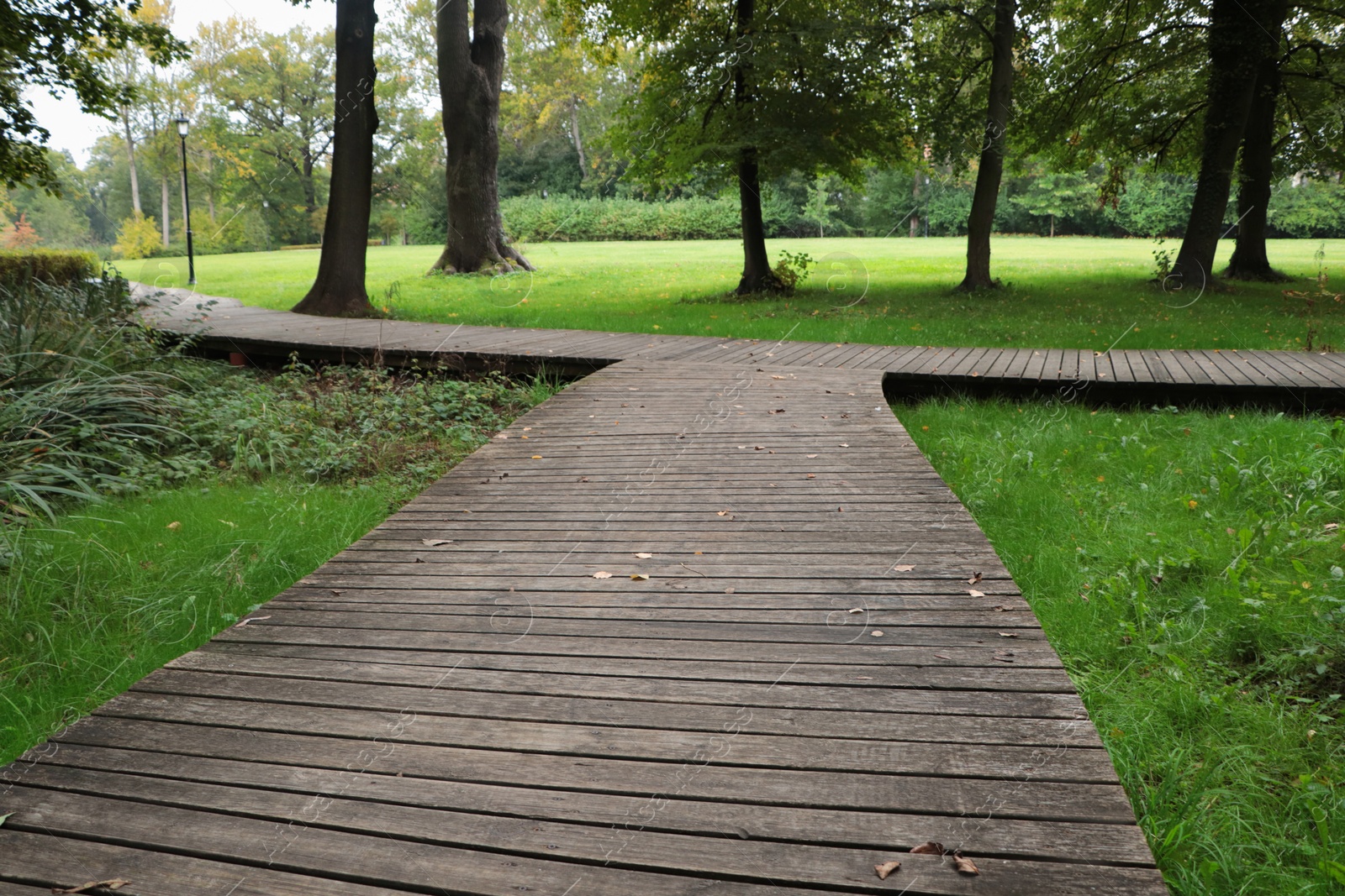 Photo of Beautiful public city park with pathway and green grass