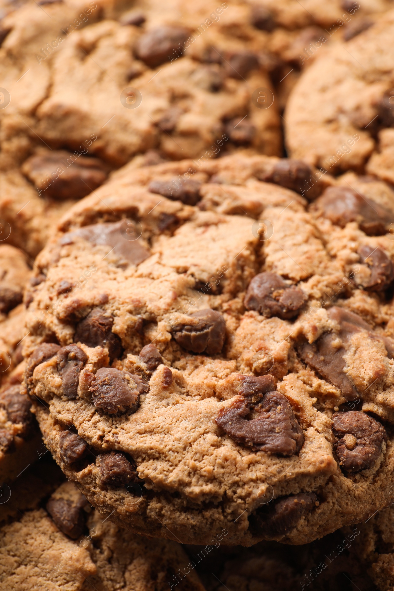 Photo of Many delicious chocolate chip cookies as background, closeup