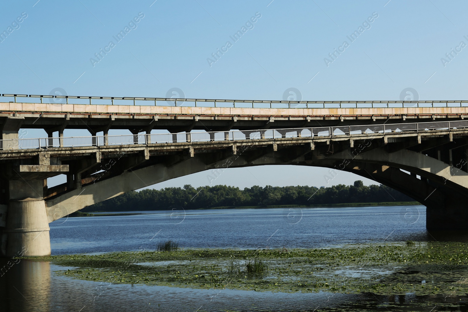 Photo of Beautiful view of arch bridge over river on sunny day